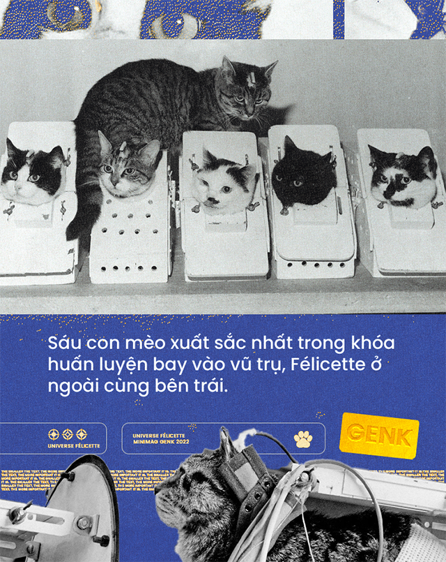 M&egrave;o cũng đ&atilde; từng v&agrave;o kh&ocirc;ng gian, v&agrave; t&ecirc;n "c&ocirc; b&eacute;" l&agrave; F&eacute;licette - Ảnh 5.