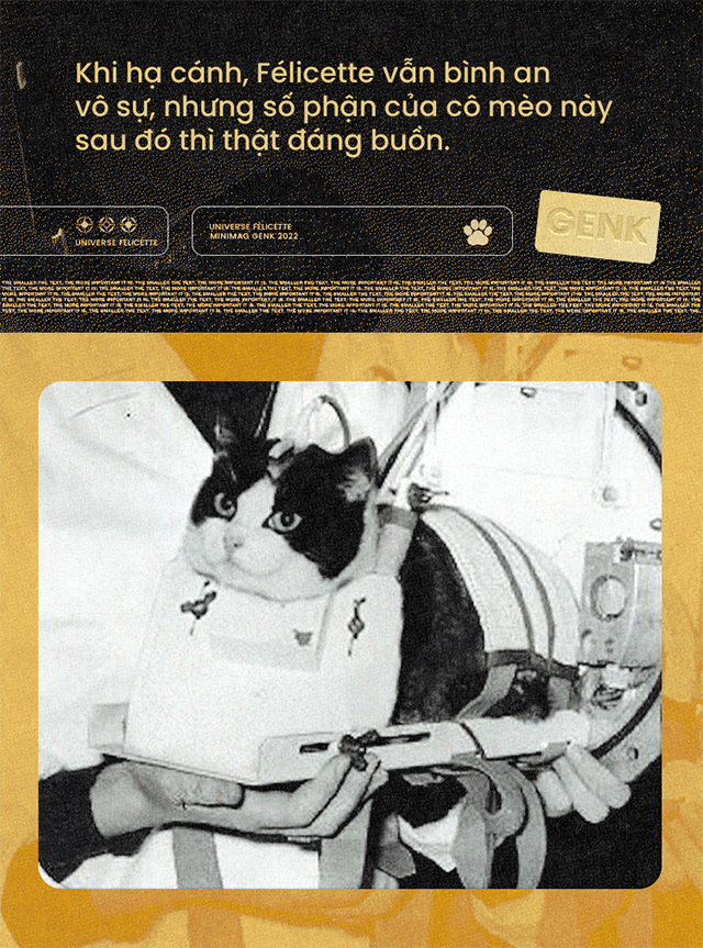 M&egrave;o cũng đ&atilde; từng v&agrave;o kh&ocirc;ng gian, v&agrave; t&ecirc;n "c&ocirc; b&eacute;" l&agrave; F&eacute;licette - Ảnh 6.