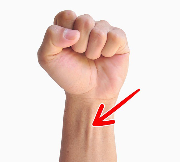 10 bộ phận cơ thể sẽ biến mất trong tương lai, cái số 4 ai nghe xong cũng mừng - Ảnh 6. 10 bộ phận cơ thể sẽ biến mất trong tương lai, cái số 4 ai nghe xong cũng mừng - Ảnh 6.