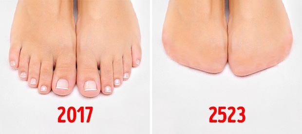 10 bộ phận cơ thể sẽ biến mất trong tương lai, cái số 4 ai nghe xong cũng mừng - Ảnh 9. 10 bộ phận cơ thể sẽ biến mất trong tương lai, cái số 4 ai nghe xong cũng mừng - Ảnh 9.