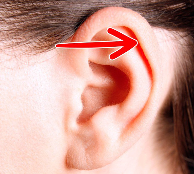 10 bộ phận cơ thể sẽ biến mất trong tương lai, cái số 4 ai nghe xong cũng mừng - Ảnh 10. 10 bộ phận cơ thể sẽ biến mất trong tương lai, cái số 4 ai nghe xong cũng mừng - Ảnh 10.