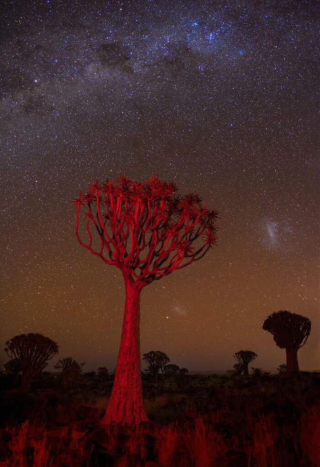 Ngắm loạt tác phẩm nhiếp ảnh đoạt giải ấn tượng bậc nhất năm qua để thấy thế giới quá đỗi kỳ diệu, mãn nhãn đến mức chỉ muốn lướt mãi - Ảnh 16. Ngắm loạt tác phẩm nhiếp ảnh đoạt giải ấn tượng bậc nhất năm qua để thấy thế giới quá đỗi kỳ diệu, mãn nhãn đến mức chỉ muốn lướt mãi - Ảnh 16.