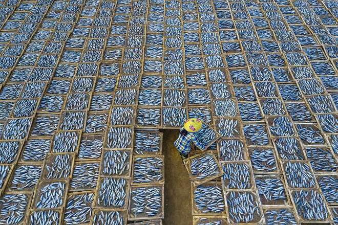 Ngắm loạt tác phẩm nhiếp ảnh đoạt giải ấn tượng bậc nhất năm qua để thấy thế giới quá đỗi kỳ diệu, mãn nhãn đến mức chỉ muốn lướt mãi - Ảnh 23. Ngắm loạt tác phẩm nhiếp ảnh đoạt giải ấn tượng bậc nhất năm qua để thấy thế giới quá đỗi kỳ diệu, mãn nhãn đến mức chỉ muốn lướt mãi - Ảnh 23.