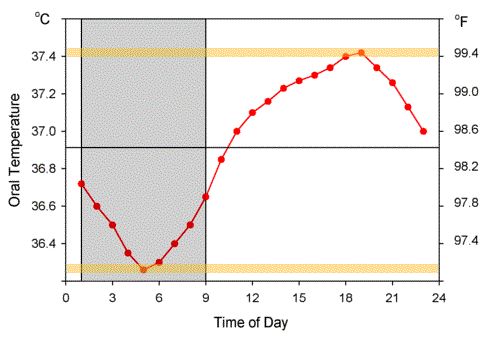 Thí nghiệm kỳ lạ trong hang động khiến nhân loại phải thay đổi lại cách nhìn nhận về đồng hồ sinh học trong cơ thể con người - Ảnh 5. Thí nghiệm kỳ lạ trong hang động khiến nhân loại phải thay đổi lại cách nhìn nhận về đồng hồ sinh học trong cơ thể con người - Ảnh 5.