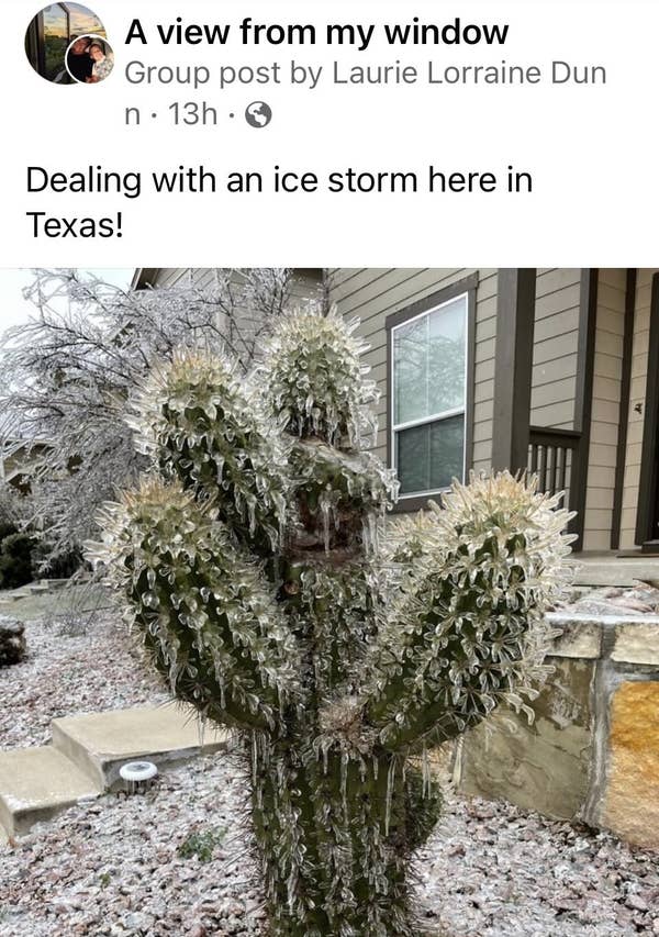 Loạt ảnh si&ecirc;u thực về gi&aacute; r&eacute;t tại Texas: Bể c&aacute; h&oacute;a đ&aacute;, tuyết rơi d&agrave;y l&agrave;m sập trần nh&agrave; - Ảnh 16.