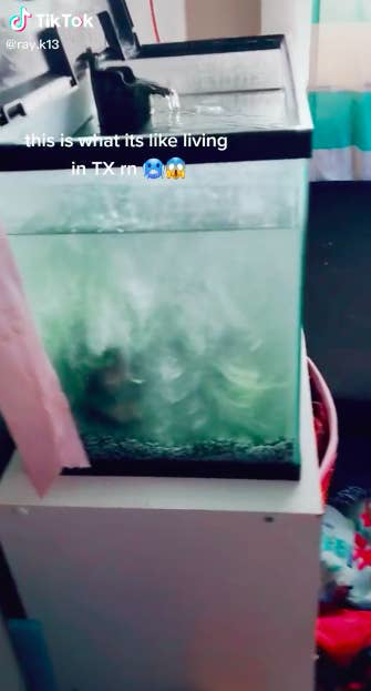 Loạt ảnh si&ecirc;u thực về gi&aacute; r&eacute;t tại Texas: Bể c&aacute; h&oacute;a đ&aacute;, tuyết rơi d&agrave;y l&agrave;m sập trần nh&agrave; - Ảnh 10.