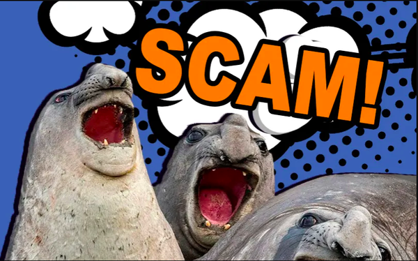 Vì sao các chuyên gia cảnh báo lừa đảo, nhiều người Việt vẫn hăng say “đào” Pi? - Ảnh 1. Vì sao các chuyên gia cảnh báo lừa đảo, nhiều người Việt vẫn hăng say “đào” Pi? - Ảnh 1.