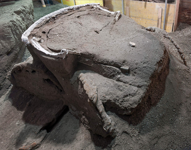 M&agrave;y m&ograve; t&igrave;m kiếm ở th&agrave;nh phố diệt vong Pompeii, c&aacute;c nh&agrave; khoa học sửng sốt khi kh&aacute;m ph&aacute; ra thứ độc nhất v&ocirc; nhị v&ocirc; c&ugrave;ng qu&yacute; gi&aacute; - Ảnh 1.