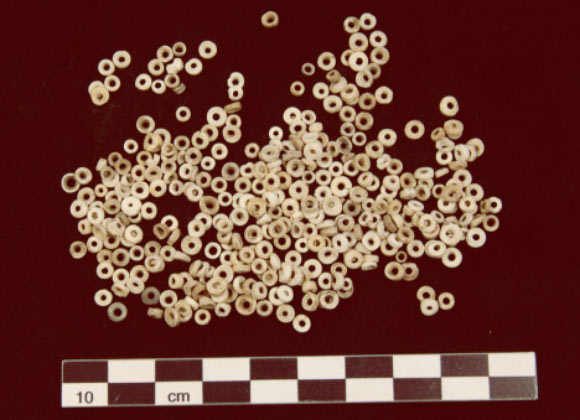 Người da đỏ đã sử dụng tiền làm bằng vỏ sò cách đây 2.000 năm - Ảnh 1. Người da đỏ đã sử dụng tiền làm bằng vỏ sò cách đây 2.000 năm - Ảnh 1.