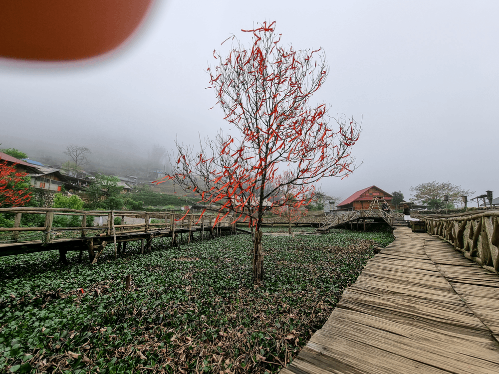 Những t&iacute;nh năng camera d&ugrave;ng để quảng c&aacute;o của Galaxy S21 Ultra c&oacute; bao giờ d&ugrave;ng đến? - Ảnh 16.