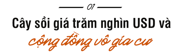 “Xóm vô gia cư” bên cạnh trụ sở 5 tỷ USD của Apple - Ảnh 1. “Xóm vô gia cư” bên cạnh trụ sở 5 tỷ USD của Apple - Ảnh 1.