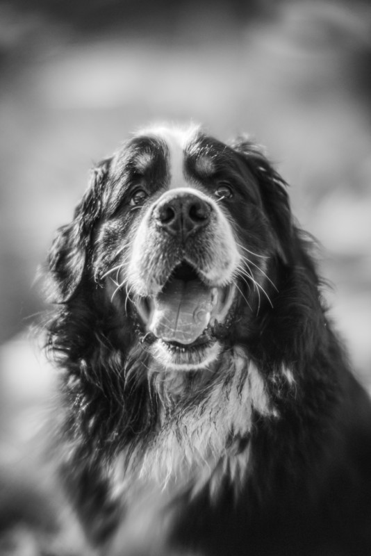 Tái chế ống kính chụp X-quang để chụp chân dung: Tưởng không hay nhưng hay không tưởng - Ảnh 14. Tái chế ống kính chụp X-quang để chụp chân dung: Tưởng không hay nhưng hay không tưởng - Ảnh 14.