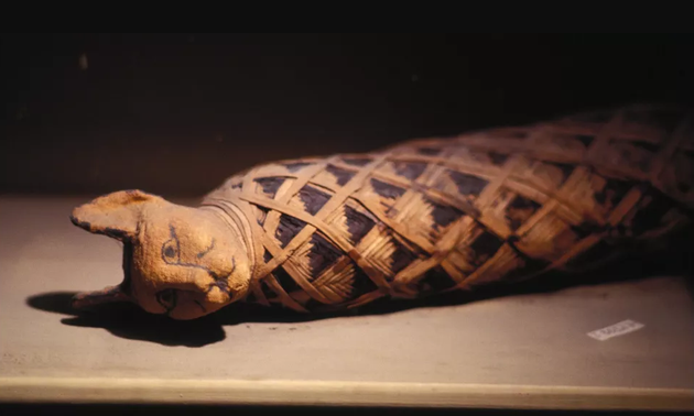 Tại sao người Ai Cập cổ đại lại bị ám ảnh bởi loài mèo? - Ảnh 5. Tại sao người Ai Cập cổ đại lại bị ám ảnh bởi loài mèo? - Ảnh 5.