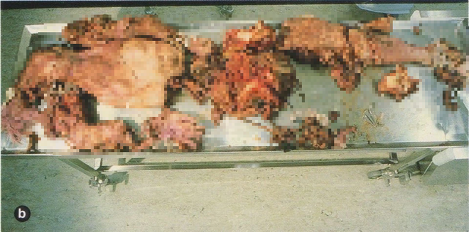 Vụ tai nạn kinh hoàng nhất lịch sử: Bi kịch xảy ra vì một lỗi cực kỳ ngớ ngẩn tại giàn khoan tai tiếng nhất thế kỷ 20 - Ảnh 6. Vụ tai nạn kinh hoàng nhất lịch sử: Bi kịch xảy ra vì một lỗi cực kỳ ngớ ngẩn tại giàn khoan tai tiếng nhất thế kỷ 20 - Ảnh 6.