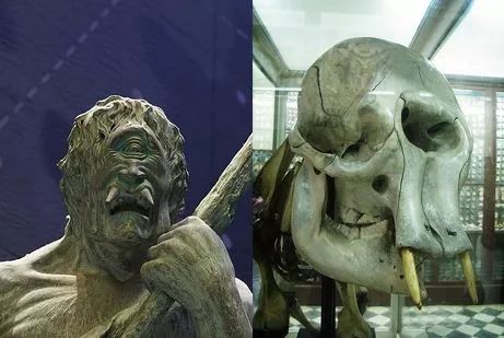 Tại sao những loài động vật trên các hòn đảo luôn kỳ dị hơn những người anh em trên đất liền? - Ảnh 4. Tại sao những loài động vật trên các hòn đảo luôn kỳ dị hơn những người anh em trên đất liền? - Ảnh 4.