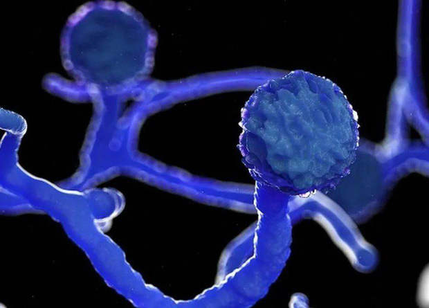 M&ugrave; l&ograve;a v&agrave; thậm ch&iacute; tử vong sau khi phục hồi, biến thể mới của Covid-19 ở Ấn Độ đ&aacute;ng sợ đến mức n&agrave;o? - Ảnh 2.