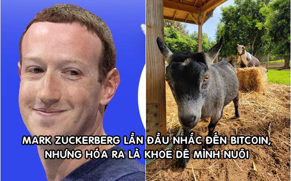 Mark Zuckerberg khoe ảnh nu&ocirc;i d&ecirc;, đặt t&ecirc;n l&agrave; Bitcoin: H&uacute;t hơn 400.000 lượt th&iacute;ch sau hơn 3 giờ đăng tải - Ảnh 1.