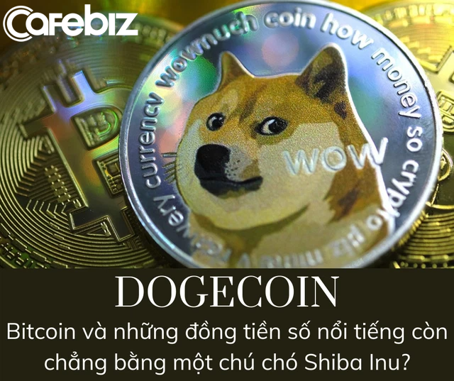 Financial Times: Dogecoin - Canh bạc hời hay cú lừa? - Ảnh 3. Financial Times: Dogecoin - Canh bạc hời hay cú lừa? - Ảnh 3.