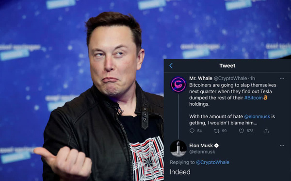 Bitcoin lao dốc, thị trường tiền ảo lại bốc hơi 200 tỷ USD v&igrave; Elon Musk - Ảnh 1.