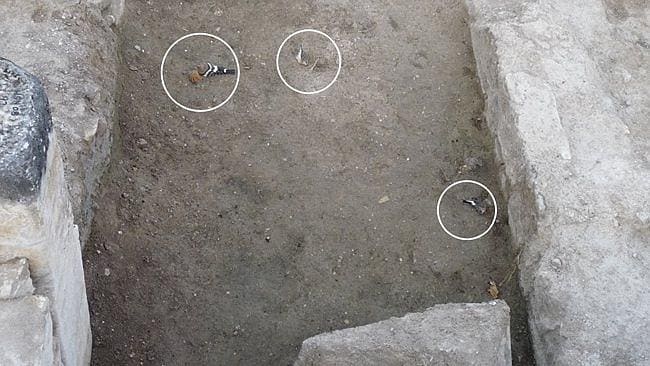 Giải m&atilde; Cổng v&agrave;o địa ngục của người La M&atilde; cổ đại: th&uacute; vật hiến tế bị đưa v&agrave;o th&igrave; chết, nhưng người vẫn kh&ocirc;ng sao - Ảnh 3.