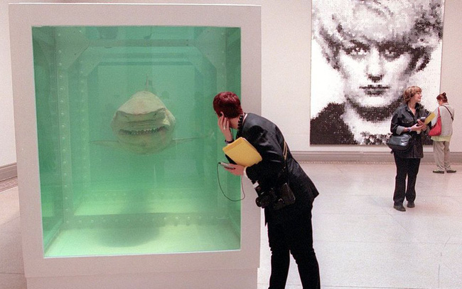 Sự giống nhau kỳ lạ giữa Bitcoin và xác con cá mập nằm trong bể foocmôn - Ảnh 1. Sự giống nhau kỳ lạ giữa Bitcoin và xác con cá mập nằm trong bể foocmôn - Ảnh 1.