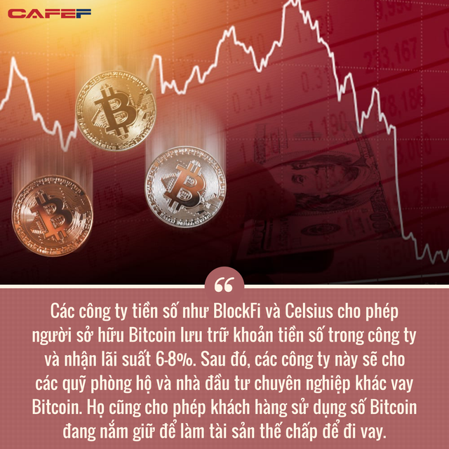  Nguy&ecirc;n nh&acirc;n thực sự đằng sau cơn b&aacute;n th&aacute;o của Bitcoin: Đi&ecirc;n cuồng sử dụng đ&ograve;n bẩy, h&agrave;ng loạt nh&agrave; đầu tư nhận margin call  - Ảnh 2.