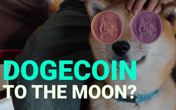 B&oacute;ng b&oacute;ng Dogecoin nổ tung: Gi&aacute; trị giao dịch c&oacute; ng&agrave;y giảm 93%, c&aacute;c &lsquo;c&aacute; voi&rsquo; nắm giữ nhiều nhất lo sợ - Ảnh 1.