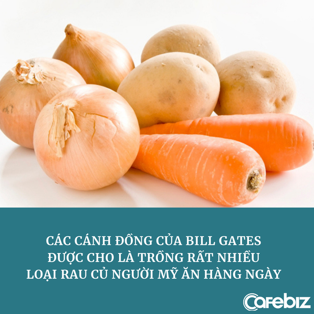 Khoai t&acirc;y chi&ecirc;n của McDonald&rsquo;s được trồng tr&ecirc;n những c&aacute;nh đồng lớn đến mức c&oacute; thể nh&igrave;n thấy từ kh&ocirc;ng gian của Bill Gates - Ảnh 1.