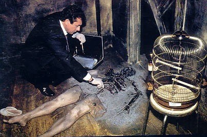 Lý giải hiện tượng siêu nhiên bí ẩn: Cơ thể con người tự bốc cháy (Phần 1) - Ảnh 8. Lý giải hiện tượng siêu nhiên bí ẩn: Cơ thể con người tự bốc cháy (Phần 1) - Ảnh 8.