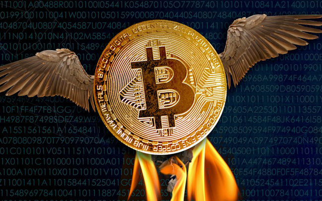 Bitcoin vừa c&oacute; lần lột x&aacute;c đầu ti&ecirc;n sau 4 năm s&oacute;ng gi&oacute; - Ảnh 1.