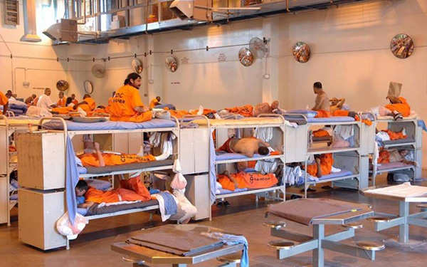 4 năm du học Mỹ kh&ocirc;ng n&oacute;i được tiếng Anh, 6 th&aacute;ng ở t&ugrave; giao tiếp th&ocirc;ng thạo - Ảnh 1.