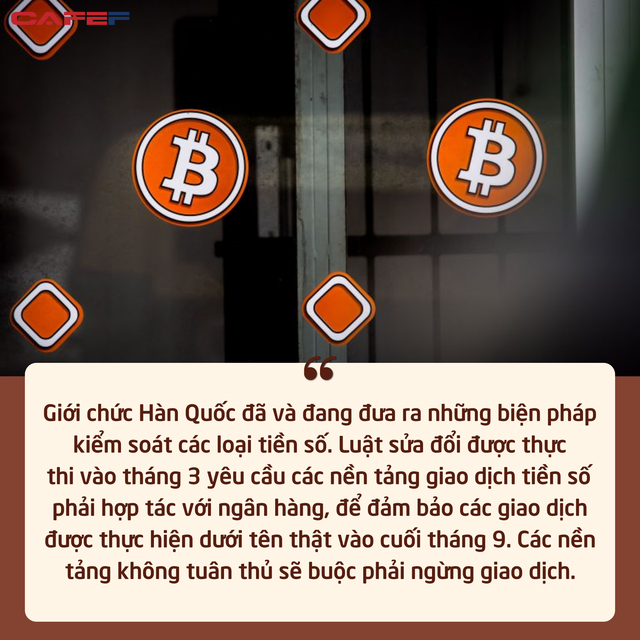  Giới trẻ H&agrave;n Quốc: Bất lực v&igrave; kh&ocirc;ng thể kiếm tiền lo cho tương lai, t&igrave;m đến thị trường tiền số nhưng lại vỡ mộng l&agrave;m gi&agrave;u  - Ảnh 4.