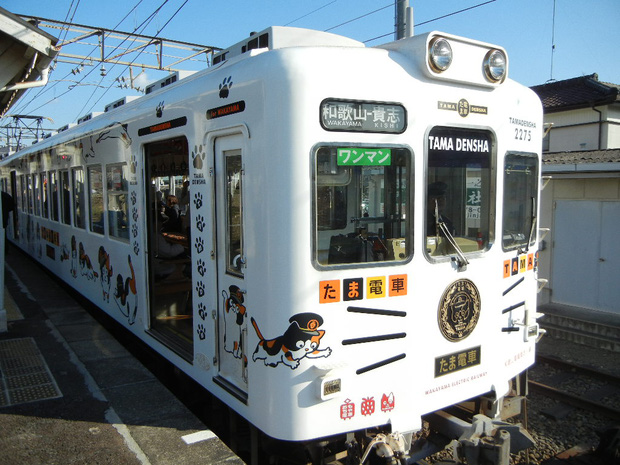  Chỉ nhờ một c&ocirc; m&egrave;o hoang, c&ocirc;ng ty Nhật Bản l&atilde;i to 280 tỷ, tho&aacute;t khỏi cảnh ph&aacute; sản trong gang tấc - Ảnh 10.