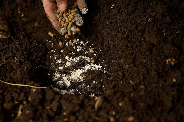 Nghi&ecirc;n cứu mới: S&eacute;t l&agrave; yếu tố thiết yếu tạo n&ecirc;n sự sống tr&ecirc;n Tr&aacute;i Đất, v&agrave; ta c&oacute; thể dựa v&agrave;o n&oacute; để t&igrave;m th&ecirc;m h&agrave;ng x&oacute;m - Ảnh 2.