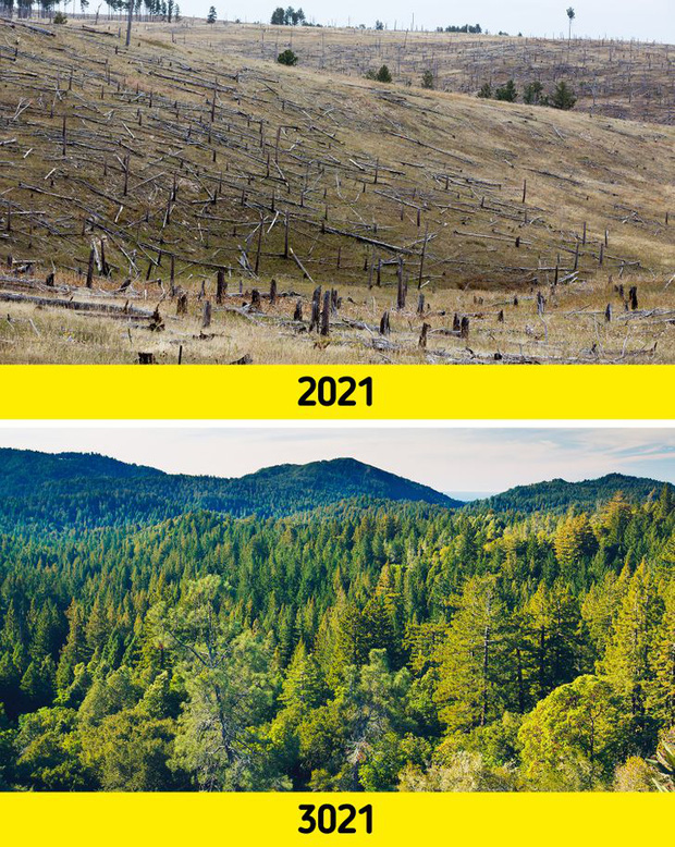  5 viễn cảnh ly k&igrave; như phim Hollywood sẽ xảy ra nếu cả nh&acirc;n loại c&ugrave;ng lăn ra ngủ 1000 năm mới dậy - Ảnh 1.