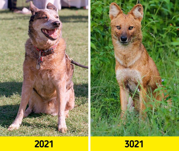  5 viễn cảnh ly k&igrave; như phim Hollywood sẽ xảy ra nếu cả nh&acirc;n loại c&ugrave;ng lăn ra ngủ 1000 năm mới dậy - Ảnh 4.