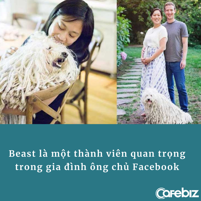 Đường đường là ông chủ Facebook nhưng Mark Zuckerberg suýt bị ‘kick’ khỏi nhóm vì quên quy tắc đăng bài - Ảnh 3. Đường đường là ông chủ Facebook nhưng Mark Zuckerberg suýt bị ‘kick’ khỏi nhóm vì quên quy tắc đăng bài - Ảnh 3.