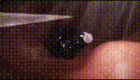 Các nhà khoa học đã chụp được ảnh thời điểm trứng người chấp nhận tinh trùng, thực sự sẽ có một tia sáng cực lớn như pháo hoa - Ảnh 4. Các nhà khoa học đã chụp được ảnh thời điểm trứng người chấp nhận tinh trùng, thực sự sẽ có một tia sáng cực lớn như pháo hoa - Ảnh 4.