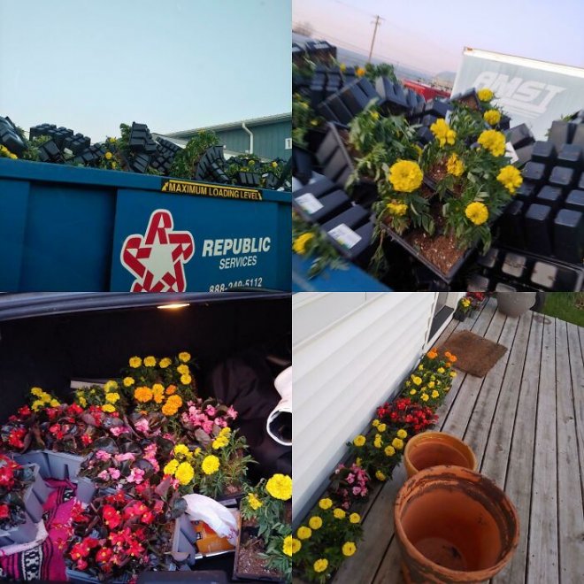 Bãi phế liệu đâu phải chỉ có đồ bỏ đi, đây là những thứ bảo bối mà một người có thể nhặt từ bãi rác về - Ảnh 32. Bãi phế liệu đâu phải chỉ có đồ bỏ đi, đây là những thứ bảo bối mà một người có thể nhặt từ bãi rác về - Ảnh 32.