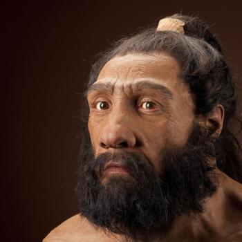 C&aacute;c nh&agrave; nghi&ecirc;n cứu đ&atilde; giải m&atilde; nh&oacute;m m&aacute;u của người cổ Neanderthal v&agrave; Denisovan - Ảnh 2.