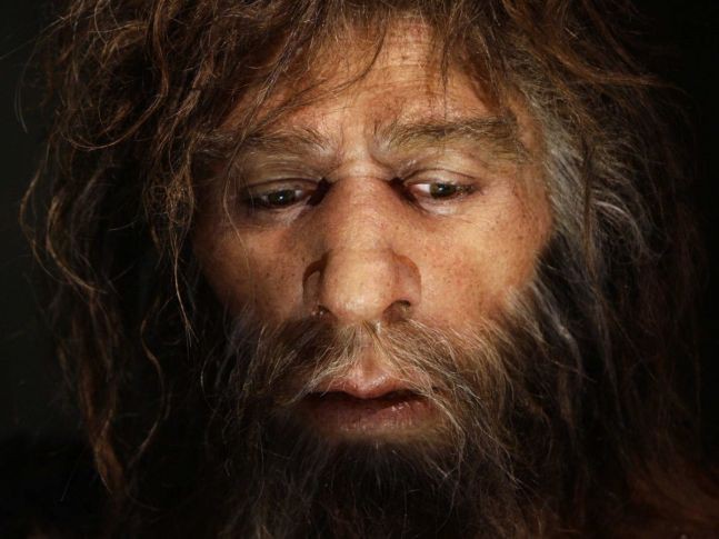 C&aacute;c nh&agrave; nghi&ecirc;n cứu đ&atilde; giải m&atilde; nh&oacute;m m&aacute;u của người cổ Neanderthal v&agrave; Denisovan - Ảnh 3.