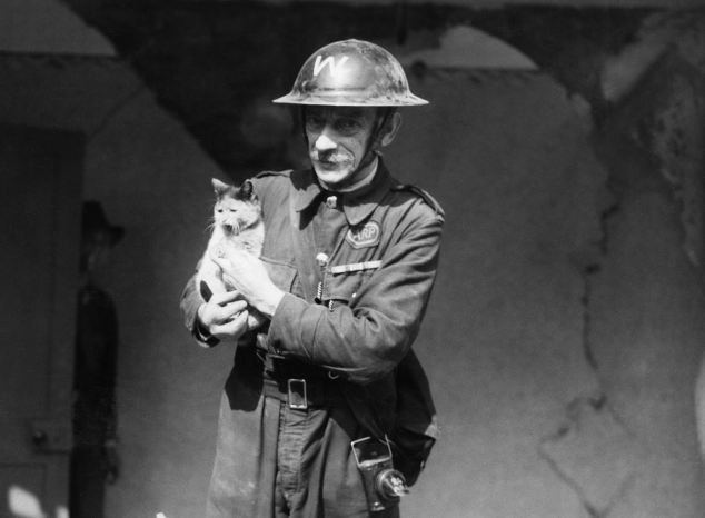 Kinh hoàng vụ thảm sát vật nuôi năm 1939 ở Anh: 750.000 thú cưng bị hóa kiếp chỉ trong 1 tuần - Ảnh 2. Kinh hoàng vụ thảm sát vật nuôi năm 1939 ở Anh: 750.000 thú cưng bị hóa kiếp chỉ trong 1 tuần - Ảnh 2.