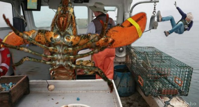 Cụ bà 101 tuổi ném tôm hùm trở thành meme hot trên mạng xã hội - Ảnh 9. Cụ bà 101 tuổi ném tôm hùm trở thành meme hot trên mạng xã hội - Ảnh 9.