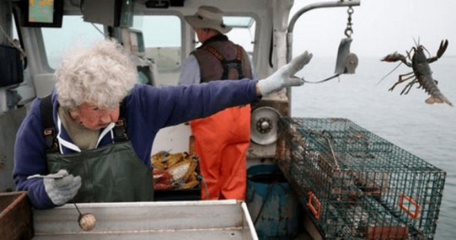 Cụ bà 101 tuổi ném tôm hùm trở thành meme hot trên mạng xã hội - Ảnh 2. Cụ bà 101 tuổi ném tôm hùm trở thành meme hot trên mạng xã hội - Ảnh 2.