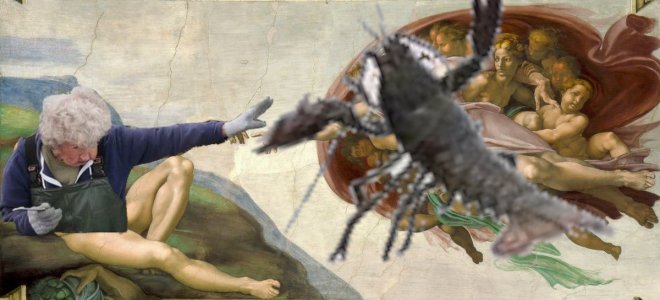 Cụ bà 101 tuổi ném tôm hùm trở thành meme hot trên mạng xã hội - Ảnh 13. Cụ bà 101 tuổi ném tôm hùm trở thành meme hot trên mạng xã hội - Ảnh 13.