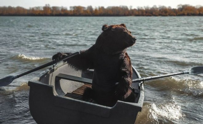 Cứu gấu con khỏi rạp xiếc, cô gái Nga tìm thấy bạn thân trọn đời - Ảnh 4. Cứu gấu con khỏi rạp xiếc, cô gái Nga tìm thấy bạn thân trọn đời - Ảnh 4.