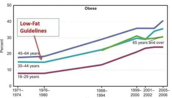 Tiến sĩ Việt ở H&agrave; Lan giải oan cho mỡ: Mỡ rất tốt, b&eacute;o chưa hẳn đ&atilde; xấu, vấn đề l&agrave; n&ecirc;n ăn mỡ g&igrave; - Ảnh 2.