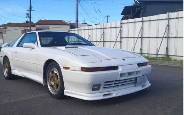 Dứt ruột b&aacute;n xe cổ để cứu m&egrave;o cưng bị bệnh hiểm ngh&egrave;o, chủ nh&acirc;n nhận lại bất ngờ từ người mua giấu mặt - Ảnh 7.