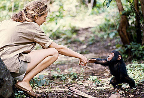 Chiến tranh tinh tinh: Vì tranh giành quyền lực mà những con tinh tinh này đã tổ chức một cuộc chiến đẫm máu kéo dài 4 năm - Ảnh 8. Chiến tranh tinh tinh: Vì tranh giành quyền lực mà những con tinh tinh này đã tổ chức một cuộc chiến đẫm máu kéo dài 4 năm - Ảnh 8.