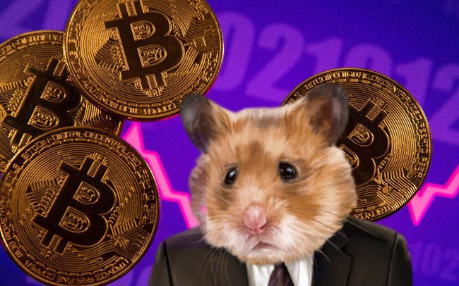 Ch&uacute; chuột hamster tự giao dịch tiền số, tỷ suất sinh lời đạt gần 24% kể từ th&aacute;ng 6  - Ảnh 1.